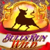 Bulls Run Wild game thumbnail